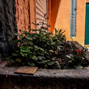 Little House Napoli